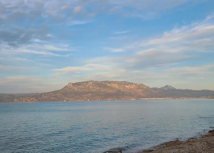 An Oasis By The Beach