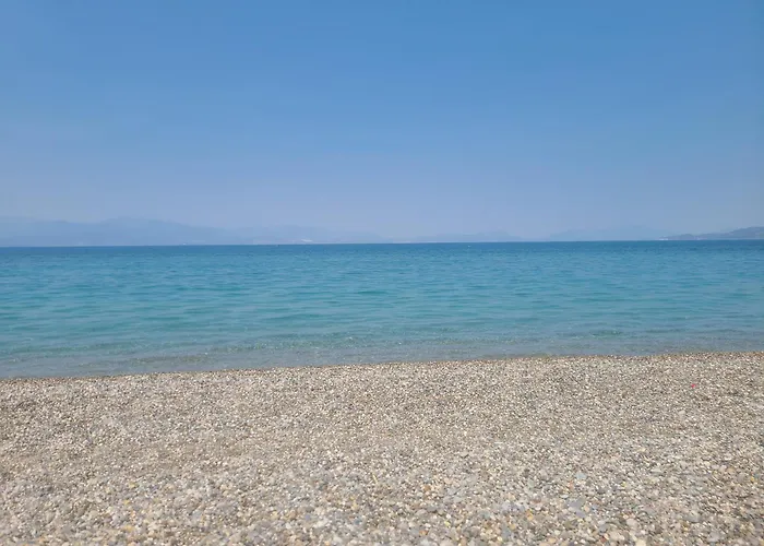 An Oasis By The Beach
